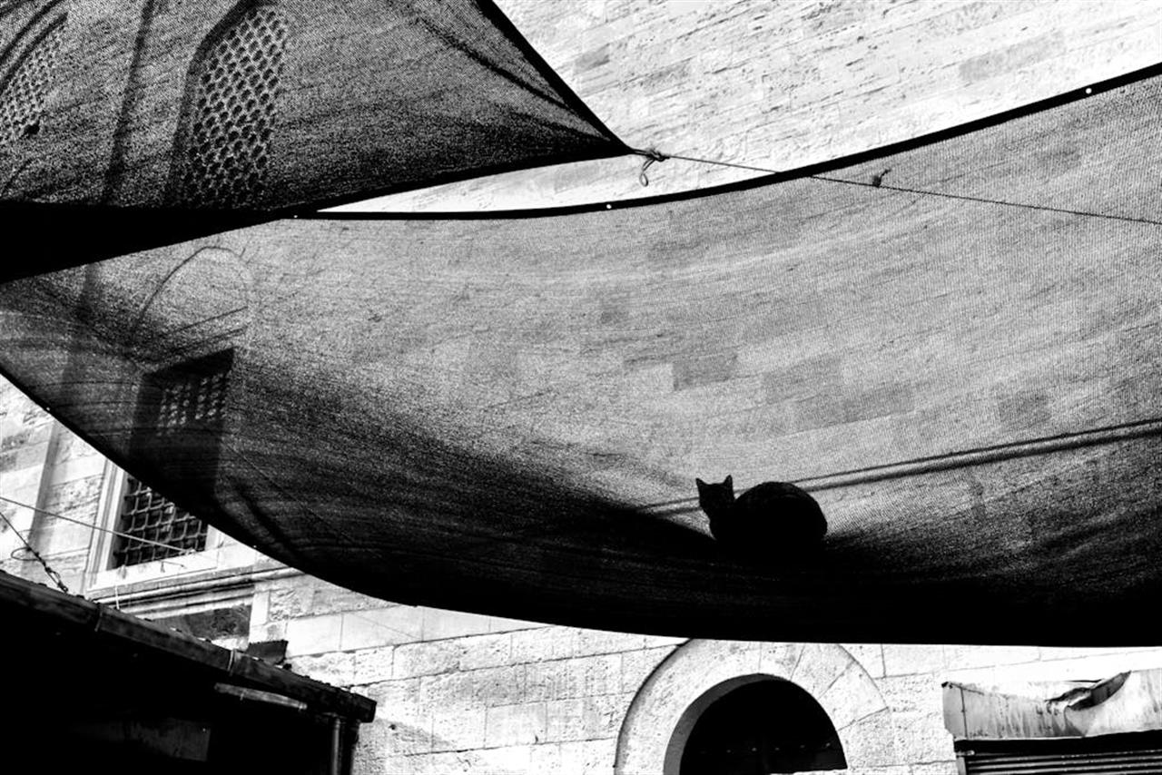 Gör det snyggt ute med markiser